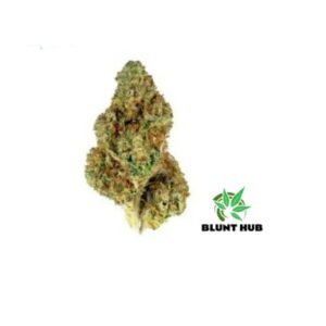 Lemon OG Kush – Top