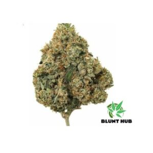 Mars OG – Private Reserve