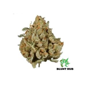Rollex OG Kush – Mid