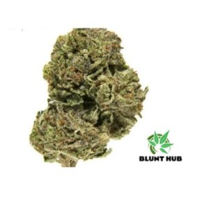 Platinum Bubba – Top